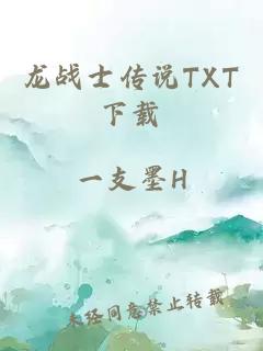 龙战士传说TXT下载