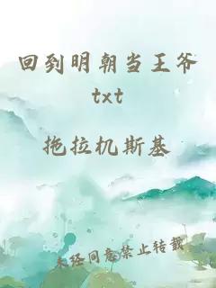 回到明朝当王爷txt