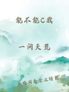 能不能C我