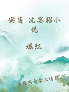 安萌 沈宴昭小说