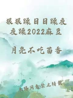 狠狠躁日日躁夜夜躁2022麻豆