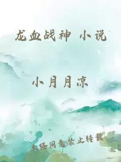 龙血战神 小说