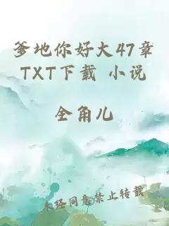 爹地你好大47章TXT下载 小说