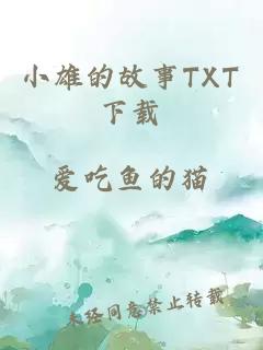 小雄的故事TXT下载