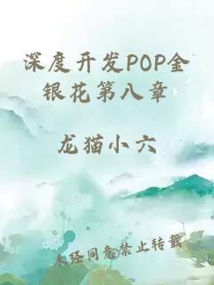 深度开发POP金银花第八章