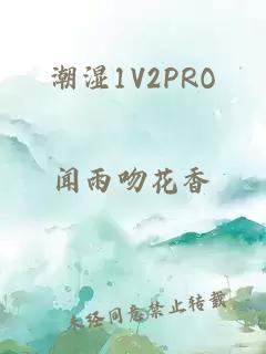 潮湿1V2PRO