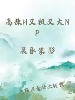 高辣H又粗又大NP