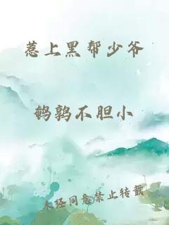 惹上黑帮少爷