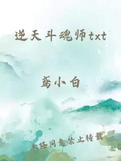 逆天斗魂师txt