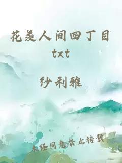 花羡人间四丁目txt