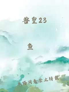 兽皇23