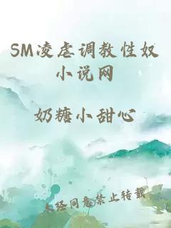 SM凌虐调教性奴小说网