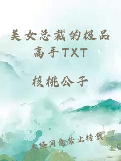 美女总裁的极品高手TXT