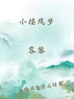 小楼残梦