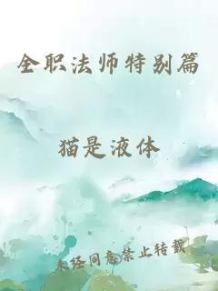 全职法师特别篇