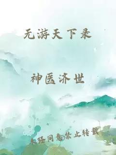 无游天下录