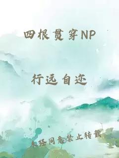 四根贯穿NP