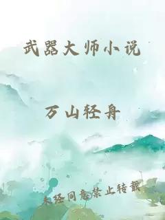 武器大师小说