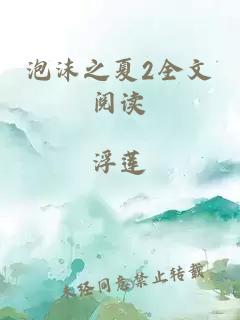 泡沫之夏2全文阅读