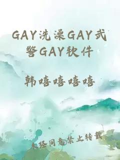 GAY洗澡GAY武警GAY软件