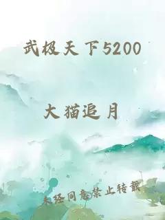 武极天下5200